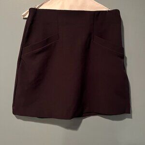 Express Size M Navy Dress Skirt with Pockets